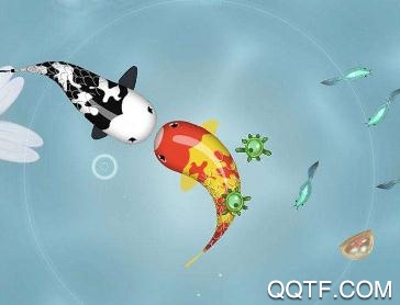 禅宗锦鲤2无需联网单机版 禅宗锦鲤2无需联网单机版