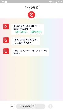 clue交友app安卓版