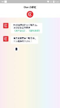 clue交友app安卓版