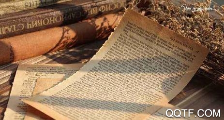 七喵蕃茄小说app最新版