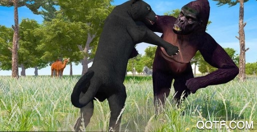 丛林黑豹模拟器最新版