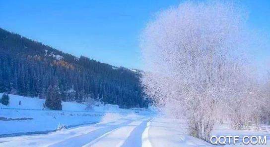 东北头条app最新版