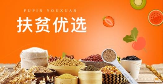 中国网家家app官方版