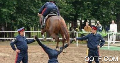 中国马术协会app官方版