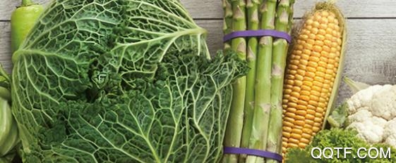 义乌市绿禾网手机客户端