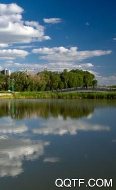 乌兰察布市财政局手机客户端