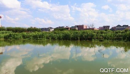 乐享靖江app苹果版