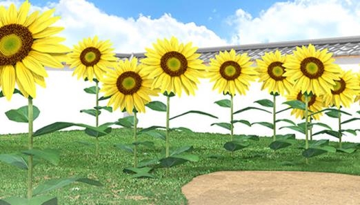 乡村假日时光最新版 乡村假日时光最新版