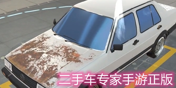 二手车专家手游正版