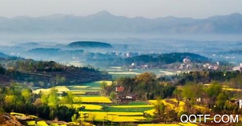 云上安陆app官方版