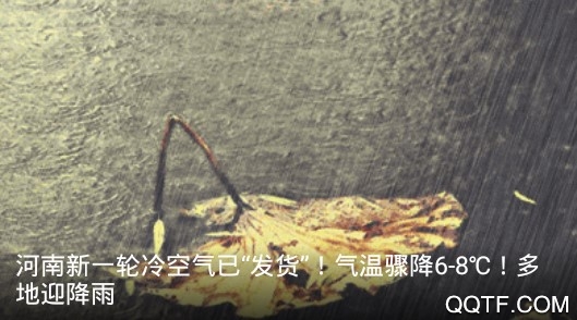 云上河南手机最新版 云上河南手机最新版