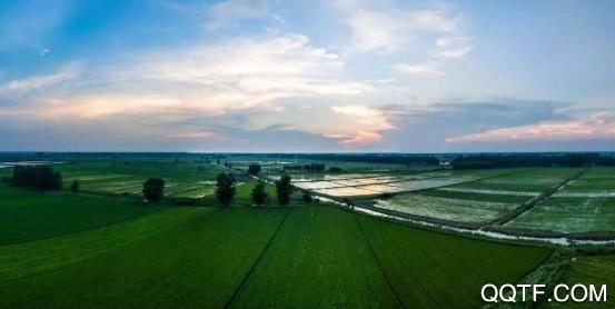 云上监利app官方版