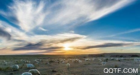 云上苏尼特客户端