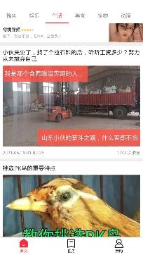 享看畅行版安卓版