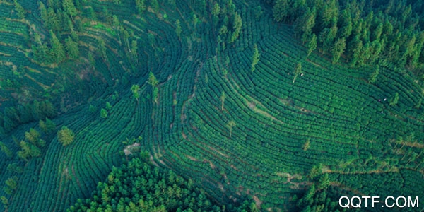 人民视频ios客户端