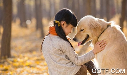 人狗交流器助手app安卓版 人狗交流器助手app安卓版