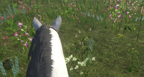 今天你骑马了吗游戏官方版 今天你骑马了吗游戏官方版