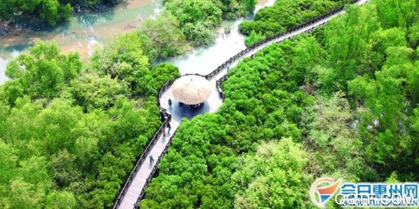 今日惠州网手机客户端 今日惠州网手机客户端