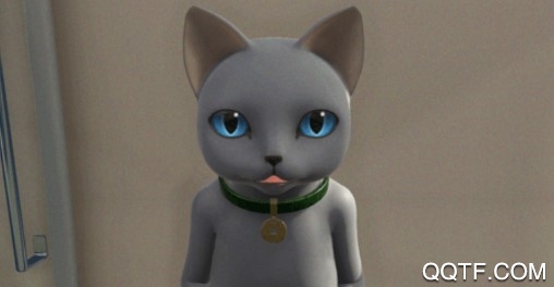 从车窗逃脱的猫大人最新版 从车窗逃脱的猫大人最新版