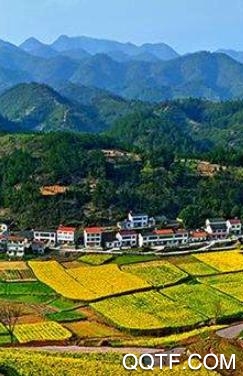 以澧为荣手机客户端