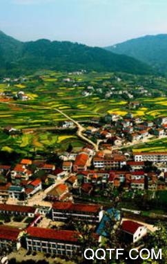 以澧为荣手机客户端