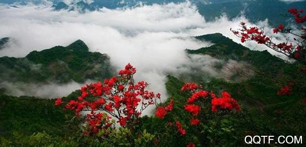 众享利川app官方版