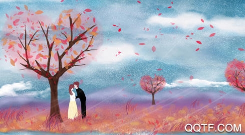 传迈app创意社交软件