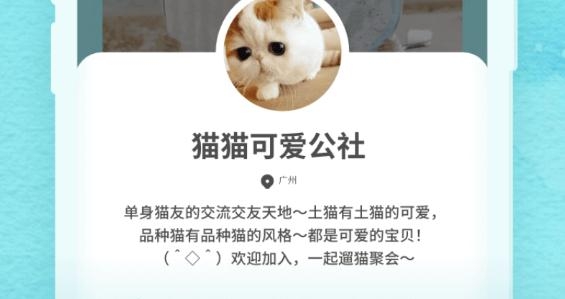 似糖交友最新版 似糖交友最新版