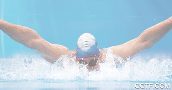 体育全频道app手机客户端