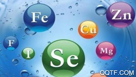 元素流派官方版