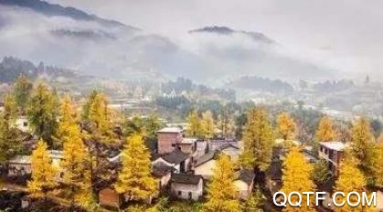 兴安新闻客户端 兴安新闻客户端