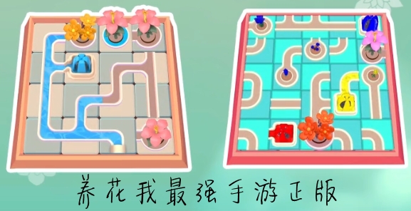 养花我最强手游正版