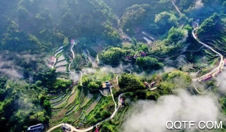 冀云南和app官方版