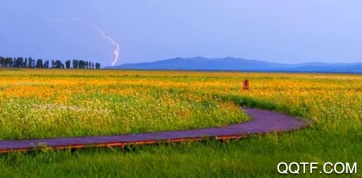 冀云沽源app苹果版