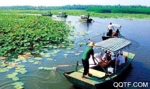 冀云白洋淀app最新版