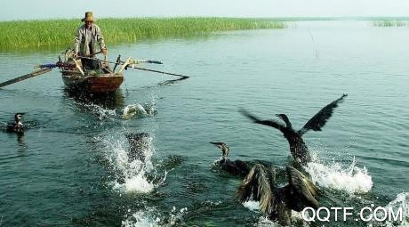 冀云白洋淀app最新版