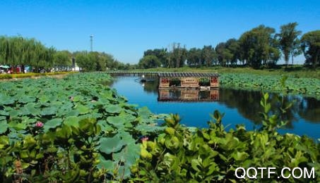 冀云白洋淀app最新版