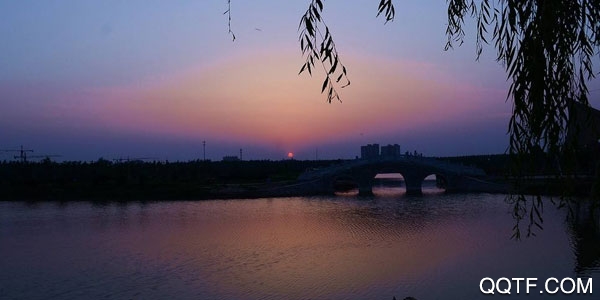 冀云鸡泽App 冀云鸡泽App