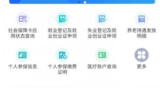 内蒙古人社苹果版