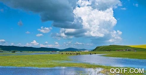 内蒙古民政在线手机客户端