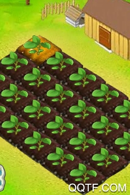 农业发展游戏手游最新版