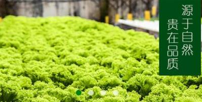 农汇宝app最新版 农汇宝app最新版