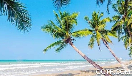 北方海南app客户端 北方海南app客户端