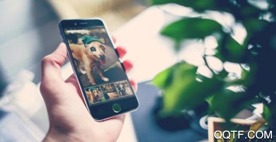 又友交友安卓版