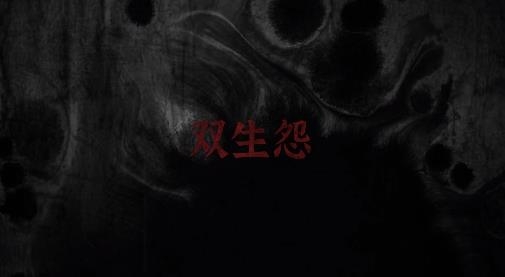 双生怨游戏最新版 双生怨游戏最新版