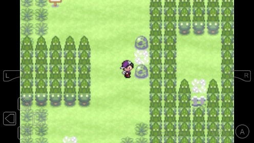 口袋妖怪仲夏夜之梦手机版 口袋妖怪仲夏夜之梦手机版