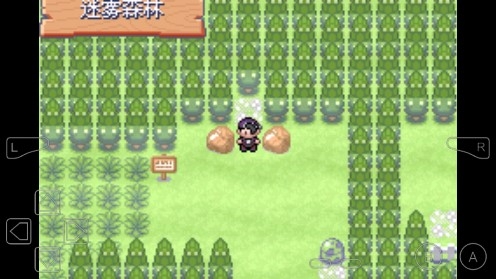 口袋妖怪仲夏夜之梦手机版 口袋妖怪仲夏夜之梦手机版