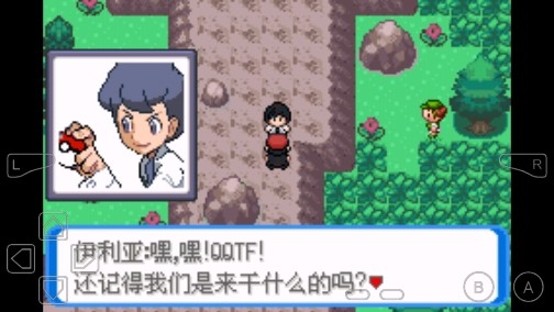 口袋妖怪决心上限250级金手指版 口袋妖怪决心上限250级金手指版