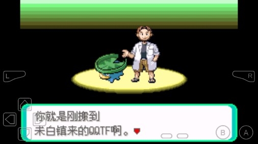 口袋妖怪日月金手指版 口袋妖怪日月金手指版