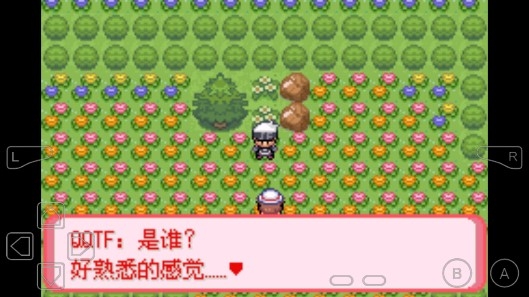 口袋妖怪暗古神坛传说金手指版 口袋妖怪暗古神坛传说金手指版